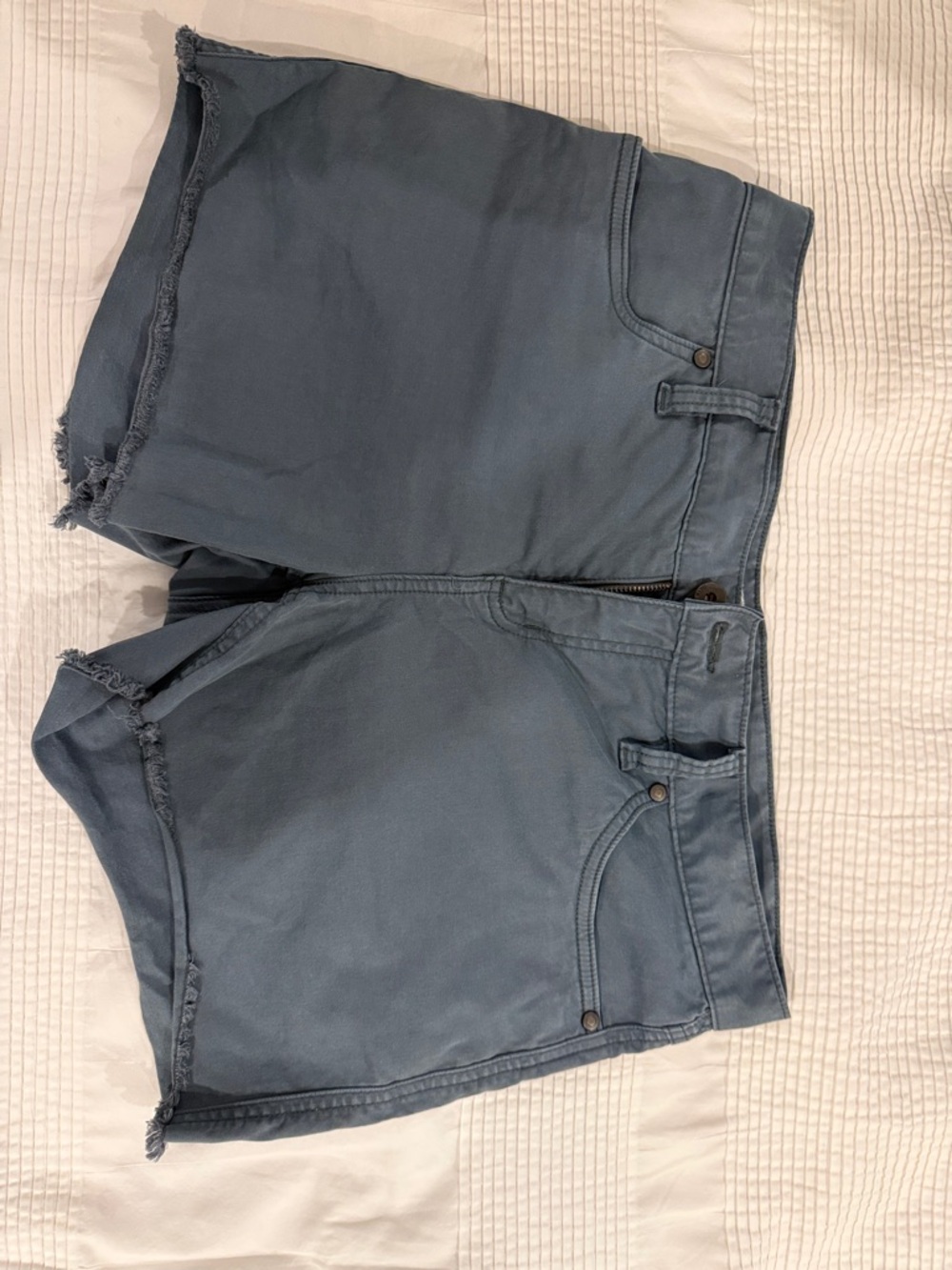 Carve Designs Slate Blue Shorts